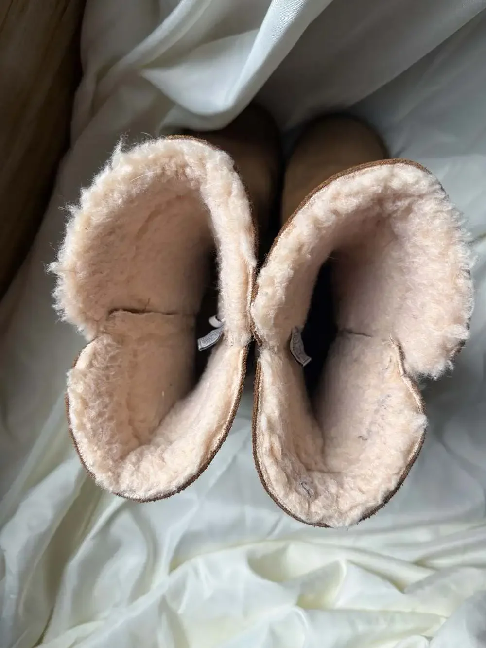 BearPaw
